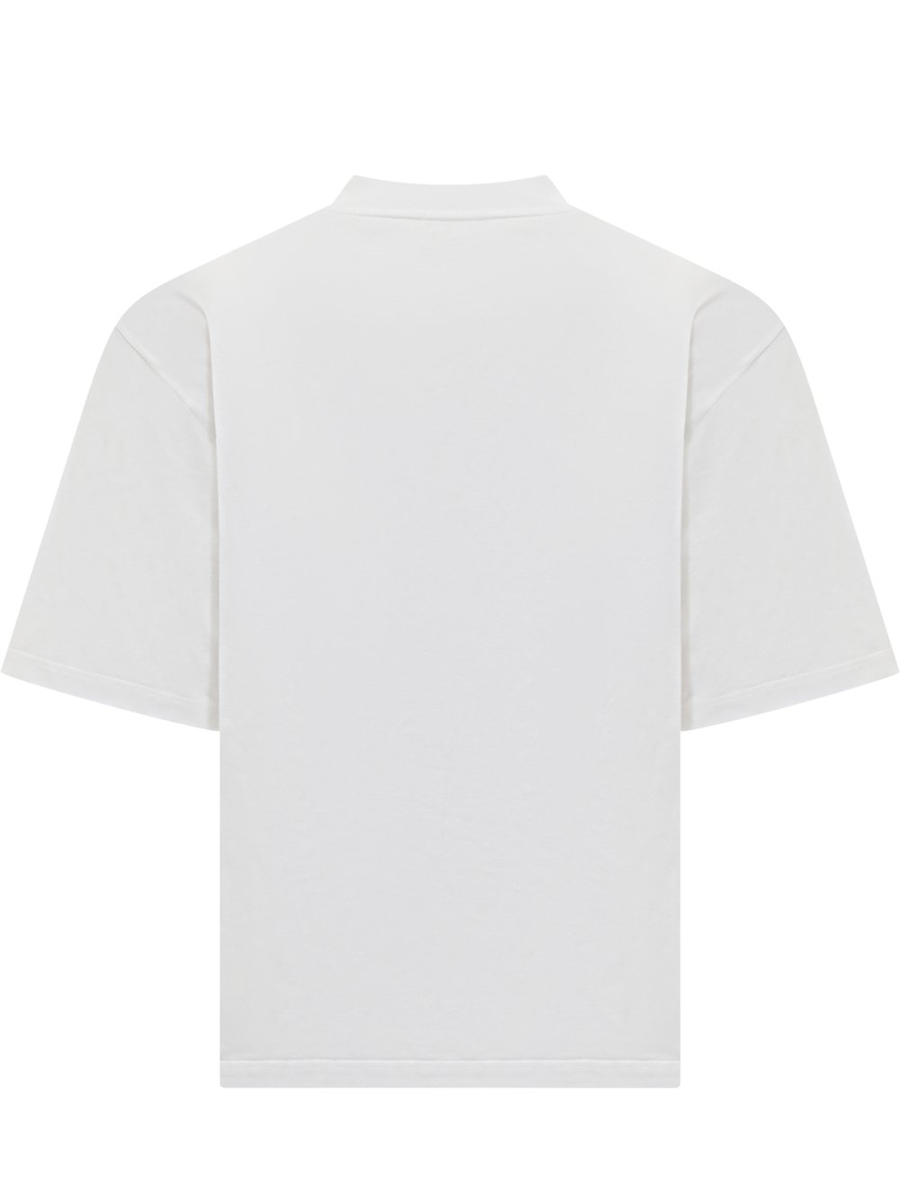 Large 2000003413485 2